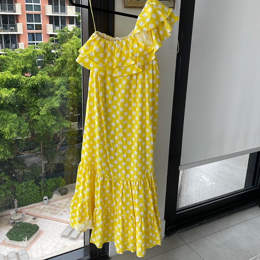 Lisa Marie Fernandez Dress